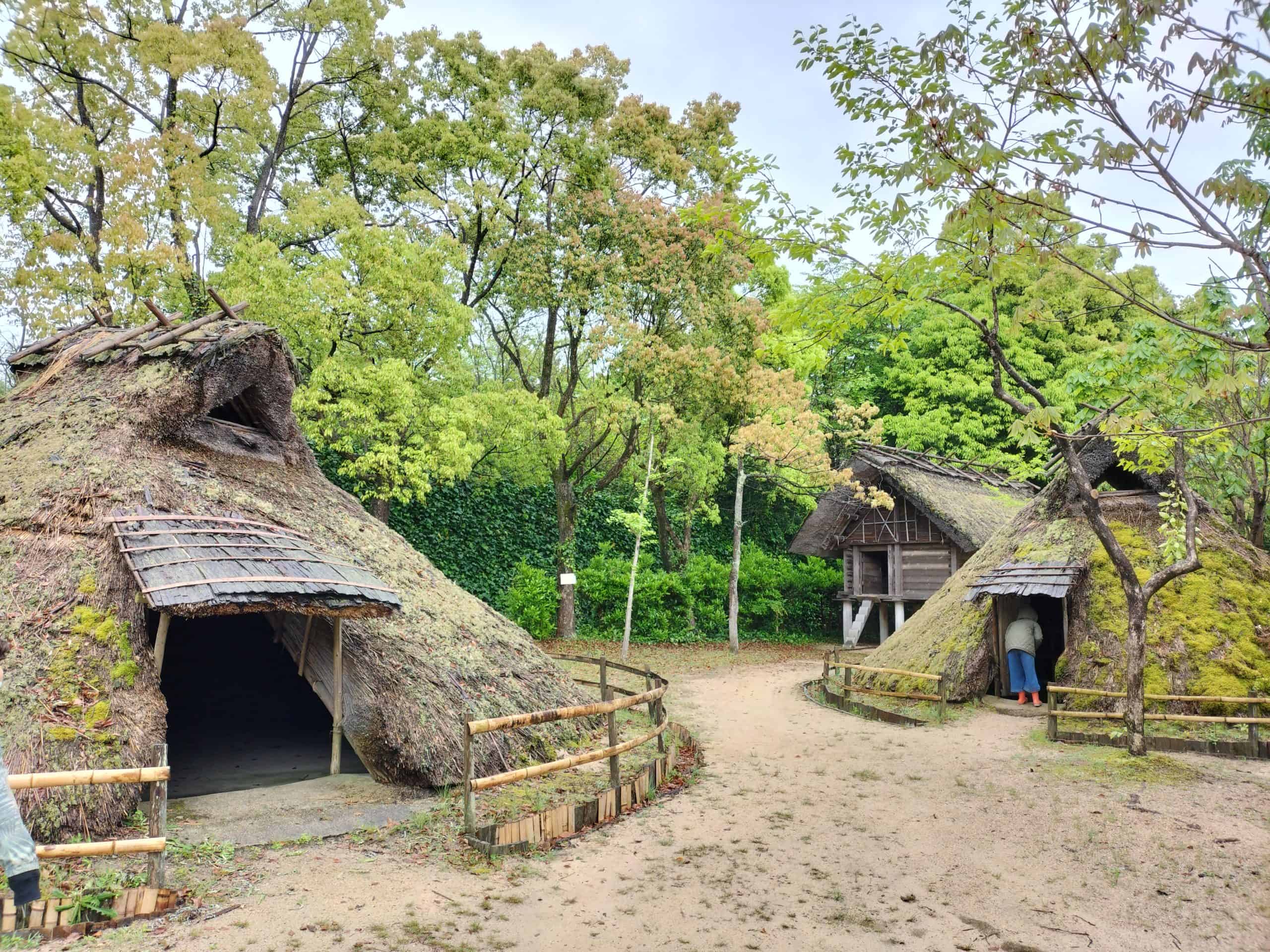 弥生時代の竪穴住居 Tateanajyukyo = Pit dwellings in Yayoi era 